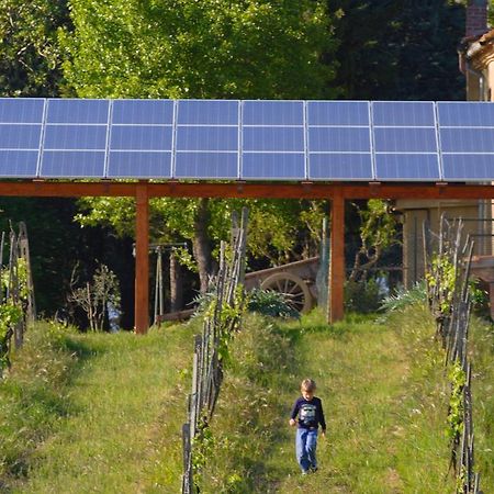 Agriturismo Le Volpaie Villa San Gimignano Luaran gambar